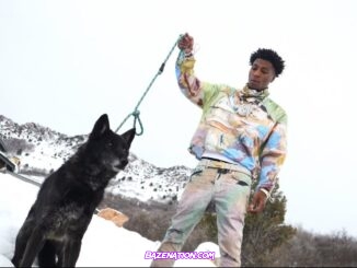 YoungBoy Never Broke Again - Wolf Cry