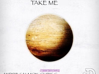 Andre Salmon - Take Me (feat. Chris C.)