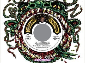 Bob Marley Mr. Chatterbox (Instrumental Version) MP3 Download